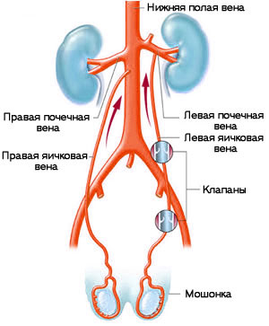Нормальное состояние Нормальное состояние