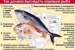 Выбор рыбы Выбор рыбы