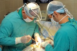 Операция по восстановлению дорсального нерва Операция по восстановлению дорсального нерва