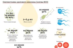 Данные, получаемые при расшифровке спермограммы по рекомендациям ВОЗ Данные, получаемые при расшифровке спермограммы по рекомендациям ВОЗ